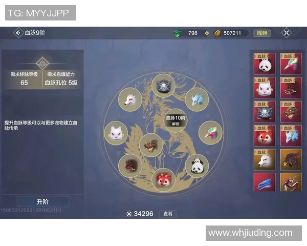 探索妄想山海建造值提升的多种途径与技巧分享 探索妄想山海建造值提升的多种途径与技巧分享