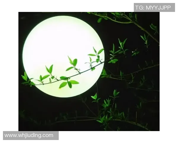 月光下的诗意流转:探寻诗词中月亮的神秘与情感交织 月光下的诗意流转:探寻诗词中月亮的神秘与情感交织