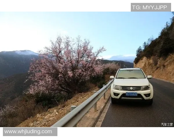 揭秘维特之旅外挂现象及有效防范措施的全景分析与对策探讨 揭秘维特之旅外挂现象及有效防范措施的全景分析与对策探讨