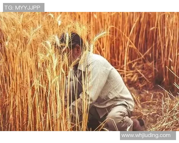 五年前拍摄第一个视频没想到坚持至今收获满满的成长与回忆 五年前拍摄第一个视频没想到坚持至今收获满满的成长与回忆